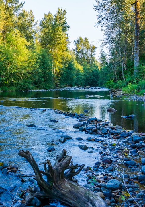 Cedar River Landscape 2 A scenic landscape shot of the Cedar River in Maple Valley, Washington.