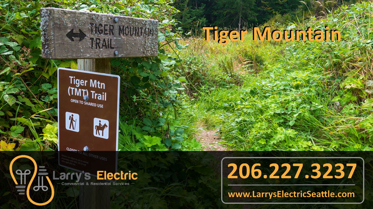 Larrys_Electric_Tiger_Mountain_Issaquah_Washington_Electrician Larrys Electric Issaquah, Washington Electrical Contractor